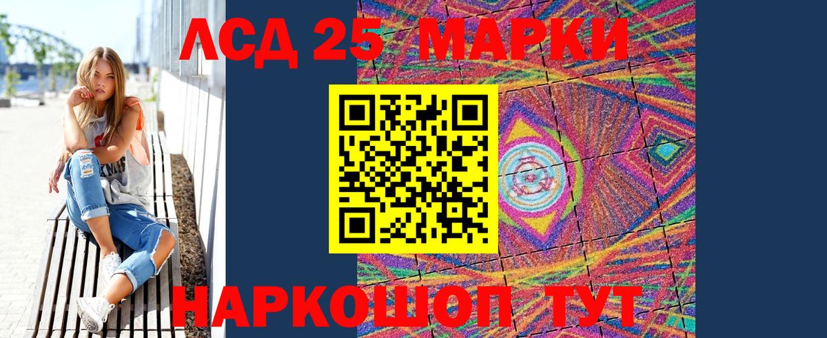 купить наркоту  Марки 25I-NBOMe 1500мкг  Камышин  Вход с VPN  Марки 25I-NBOMe 1500мкг 