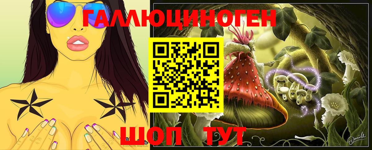 Псилоцибиновые грибы мухоморы  Галлюциногенные грибы Psilocybine cubensis  Камышин  где найти   Вход с VPN 