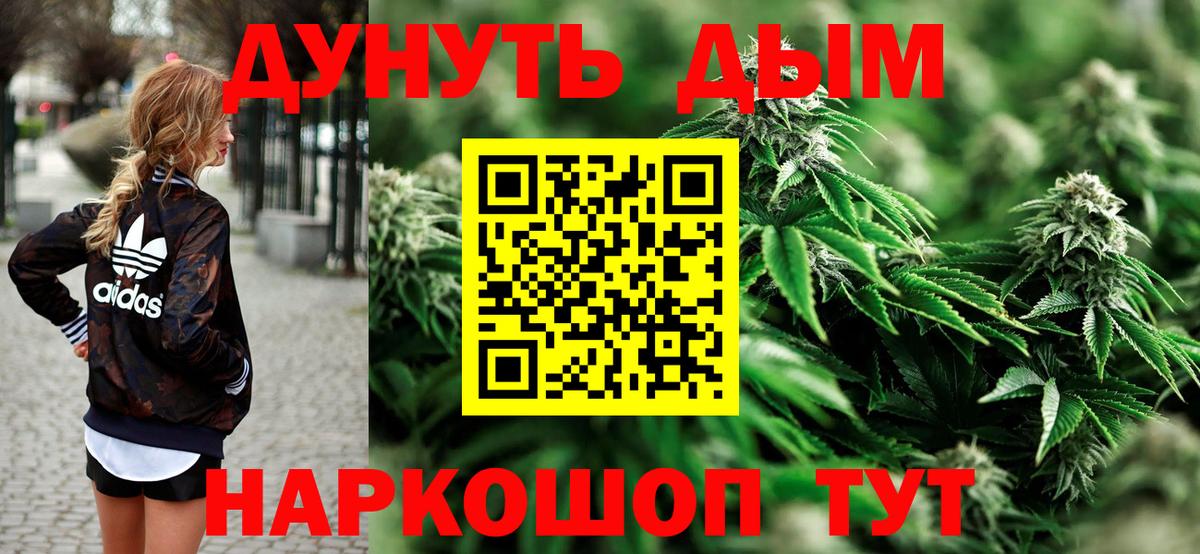 Канабис Ganja  Вход с VPN  МАРИХУАНА план  Шишки марихуана планчик  Бошки Шишки White Widow  Камышин 